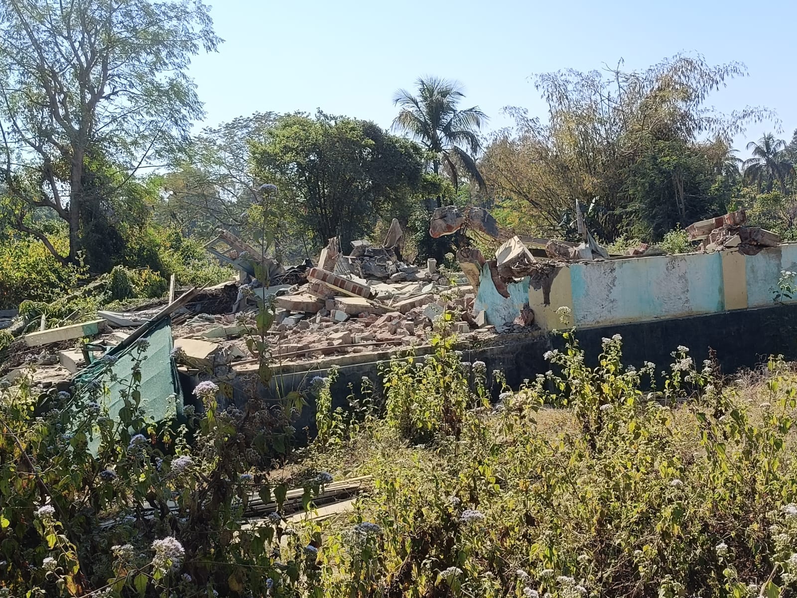 Collapsed painted walls of demolished homes overtaken by vegetation