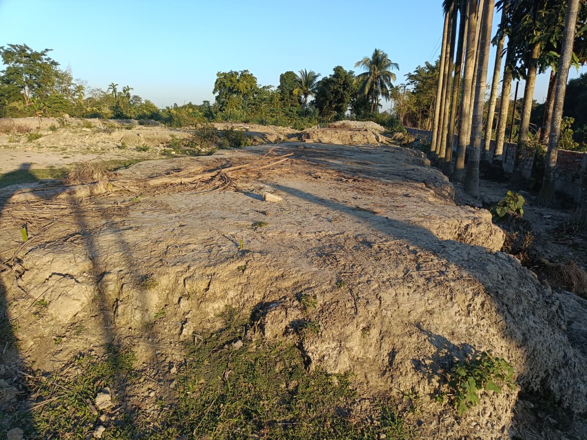 Flattened earth with palm trees where a village was bulldozed